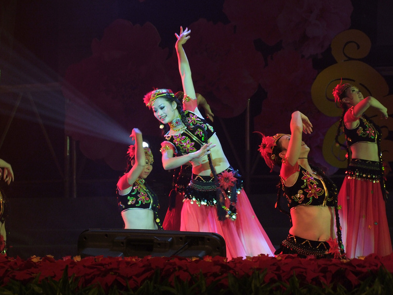 [原创]用数码相机拍《国庆60周年职工文艺汇演》