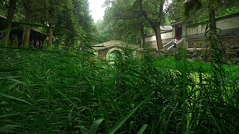 园林小景