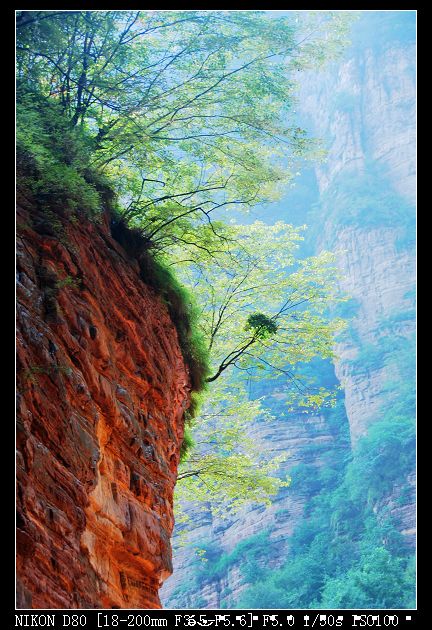 l洛阳龙潭峡的风景！