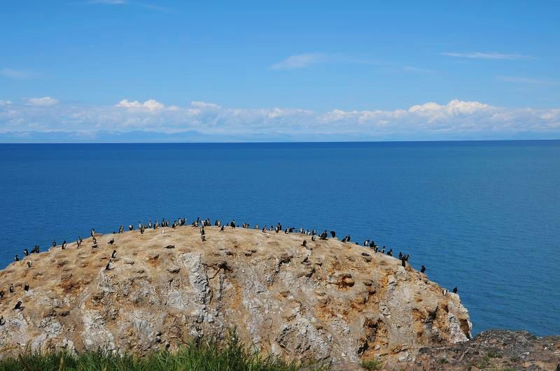 青海湖