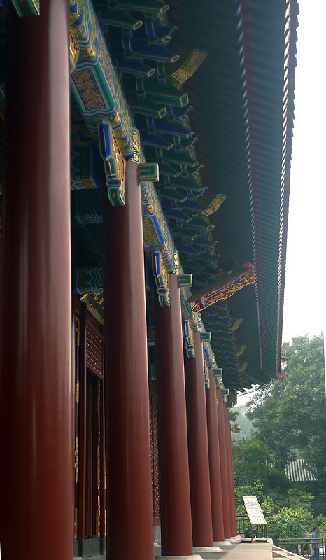 园林小景