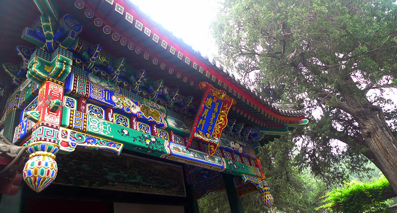 园林小景