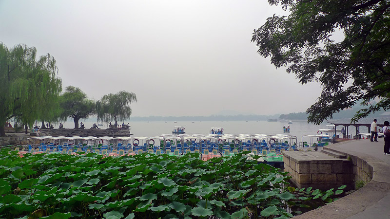 园林小景