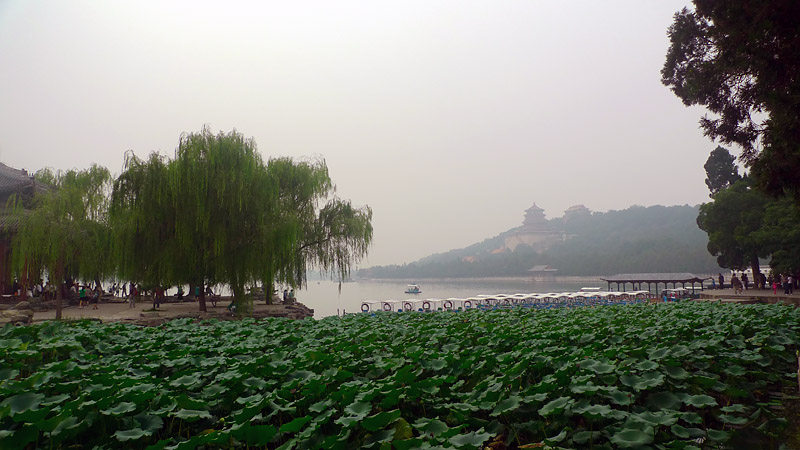 园林小景
