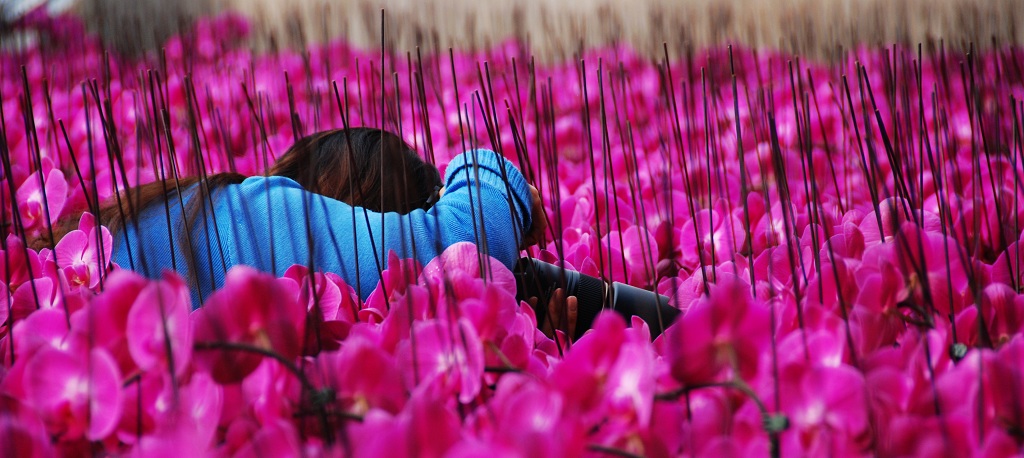花中摄影人