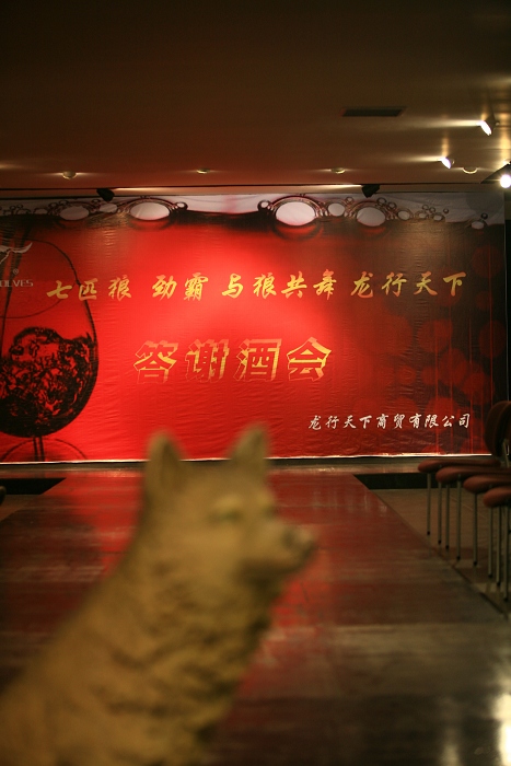 七匹狼酒会一瞥！