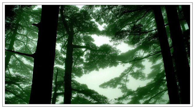 黄山松石云