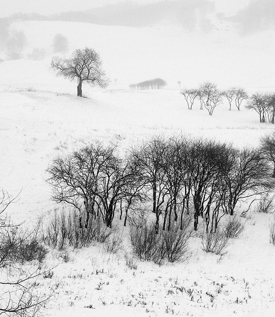 风雪画域