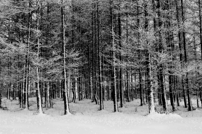 风雪画域