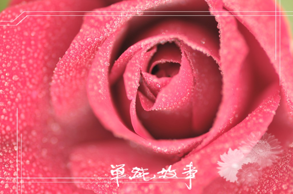 终于找到家了