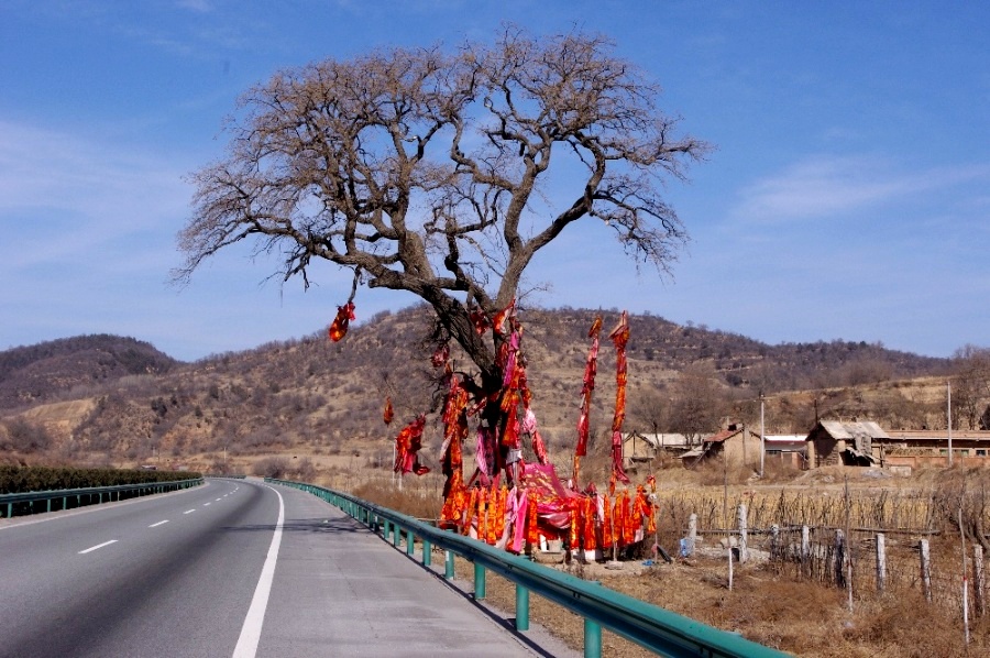 神树