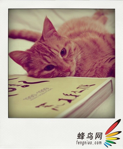 [转帖]十种俗陋的摄影习惯