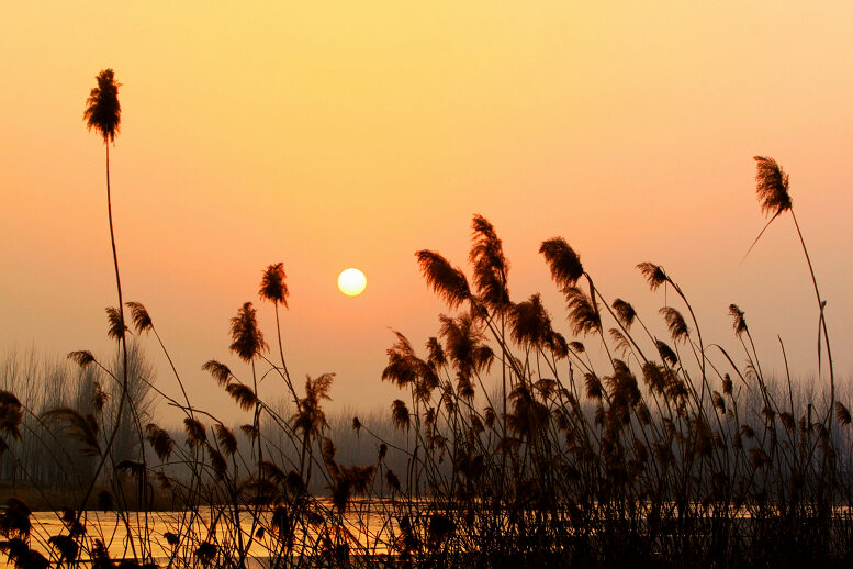 金堤夕照
