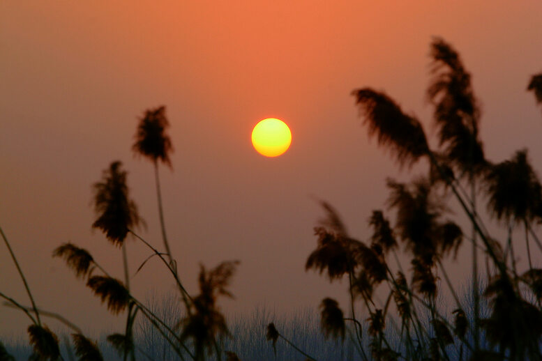 金堤夕照