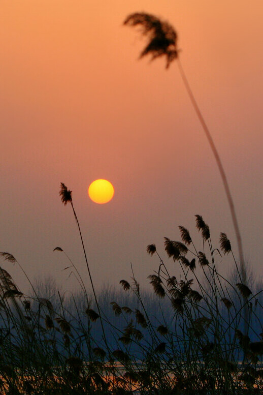 金堤夕照