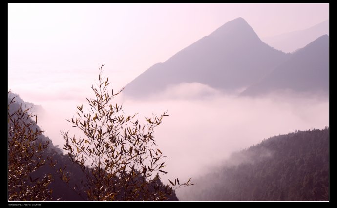 庐山小片 （庐山之恋）