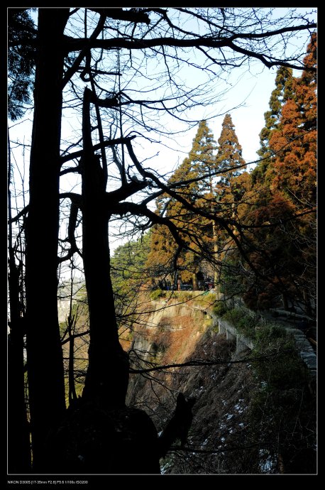 庐山小片 （庐山之恋）
