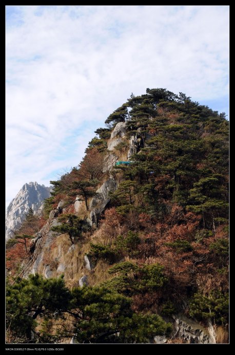庐山小片 （庐山之恋）