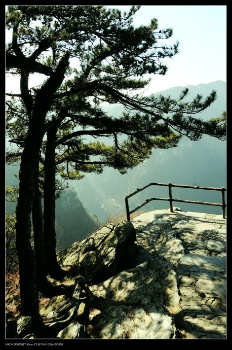 庐山小片 （庐山之恋）