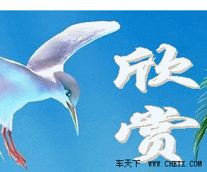 每日一片  天天更新