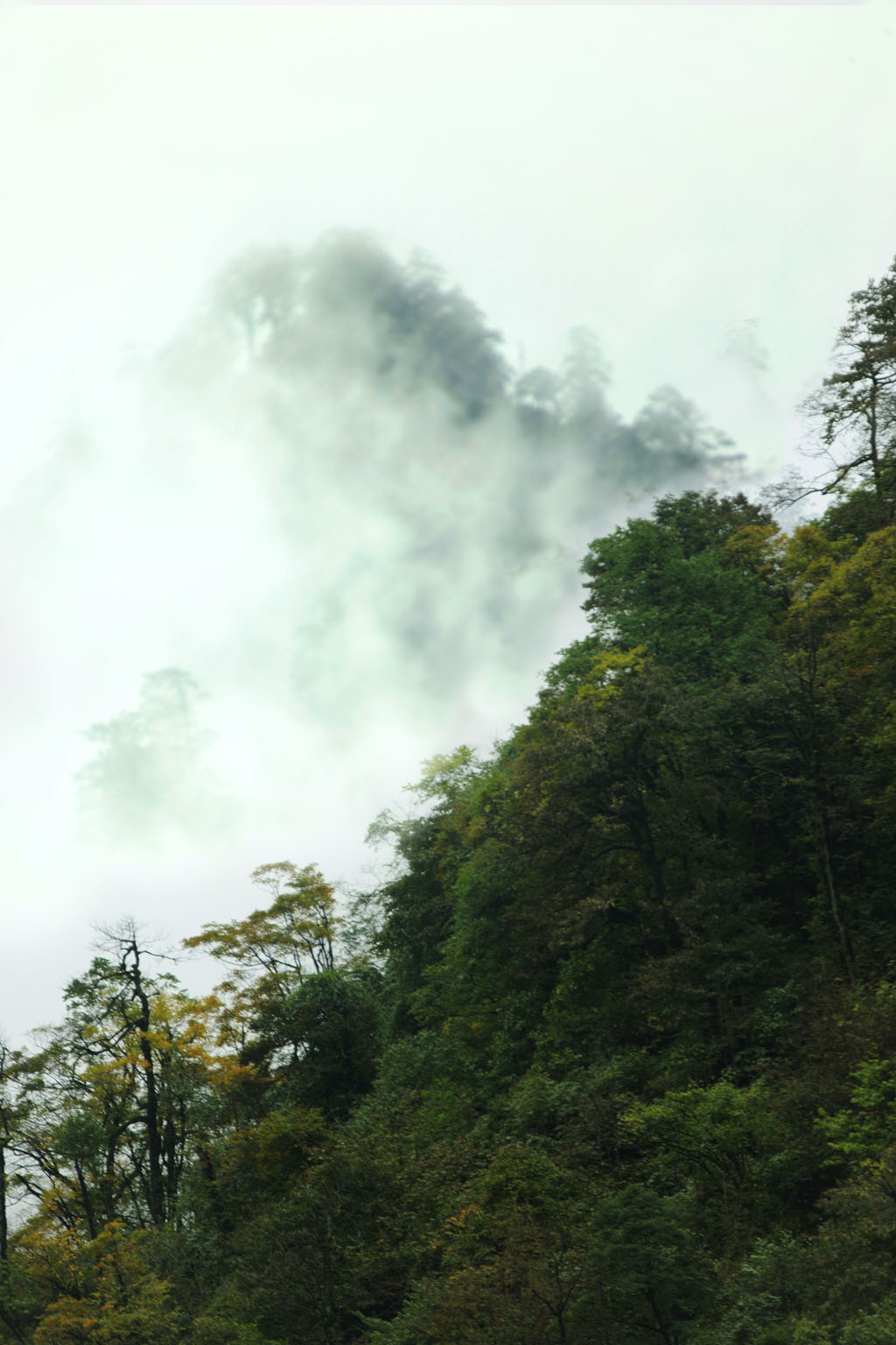 [原创]云雾二郎山