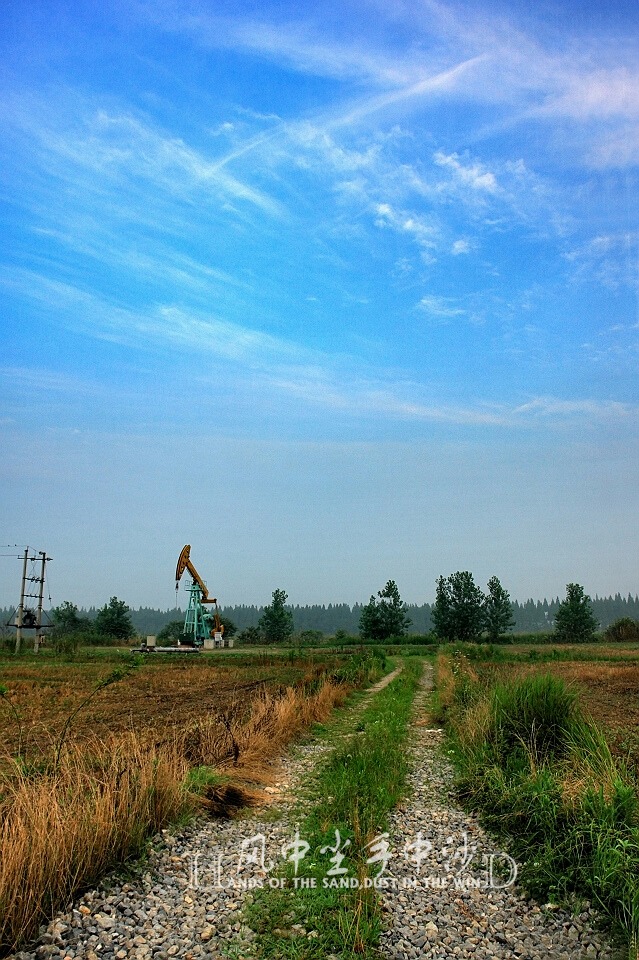 井场晨光