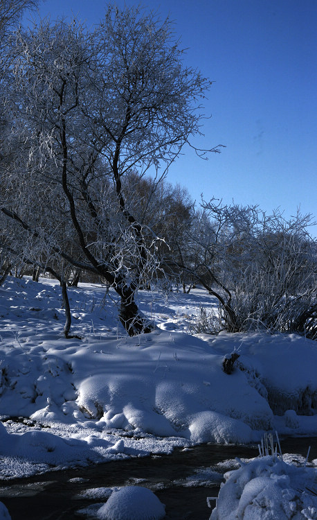 [原创]  踏雪乌兰布统