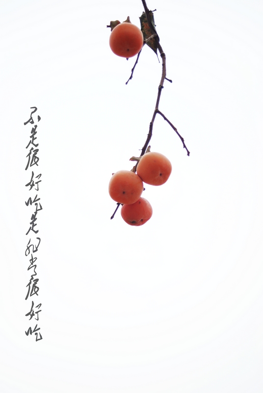 太行小片！