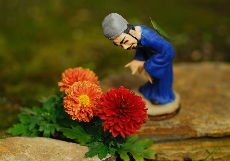 赏菊（整理中）