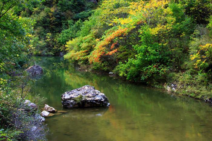 山野小溪