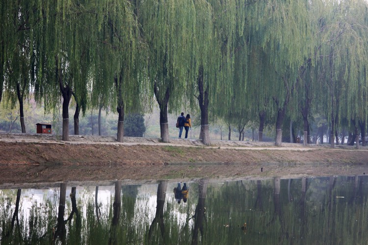 晨雾中的南湖