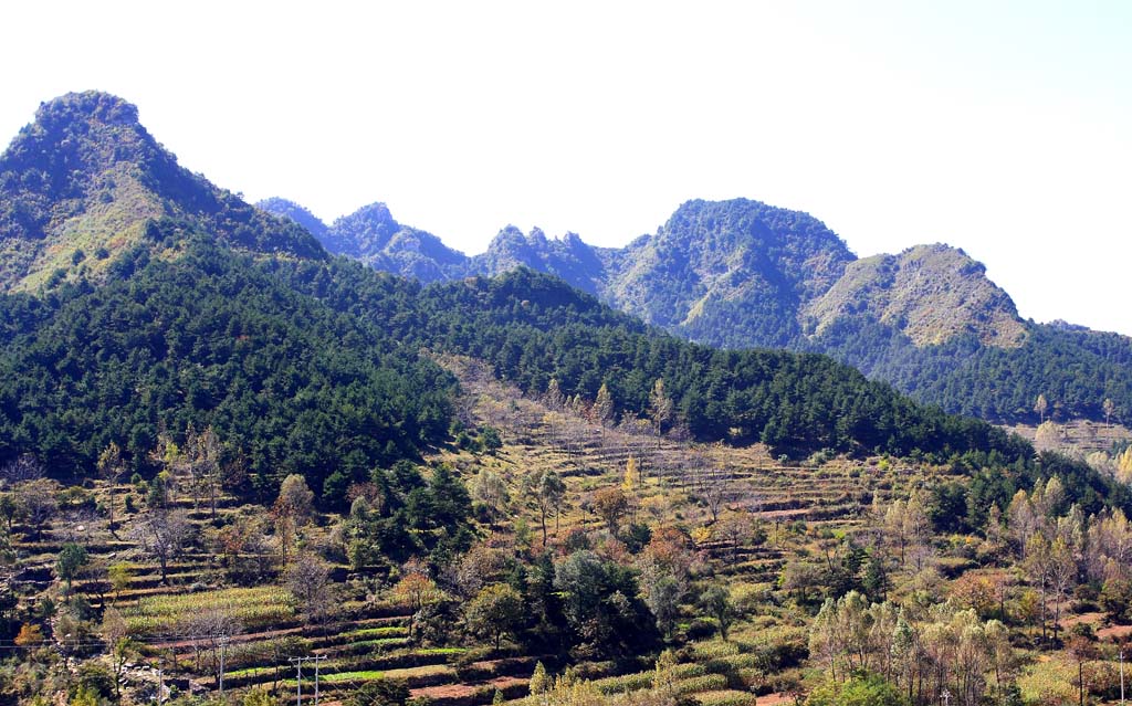 “醉”美太行山