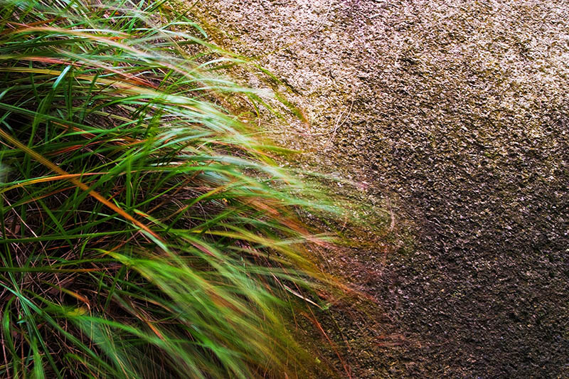 黄山-千岛湖不完全记录