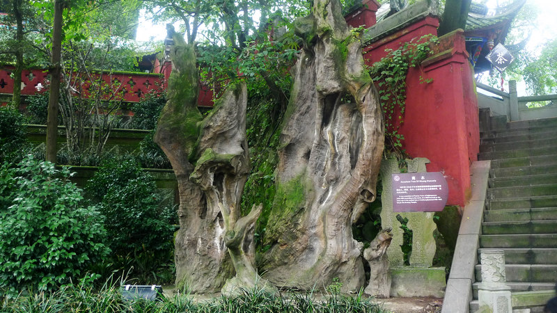 行行摄摄四川游