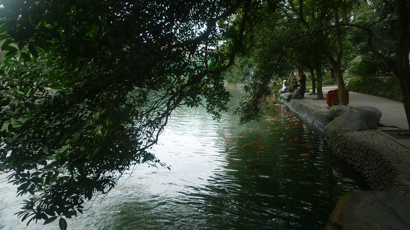 行行摄摄四川游