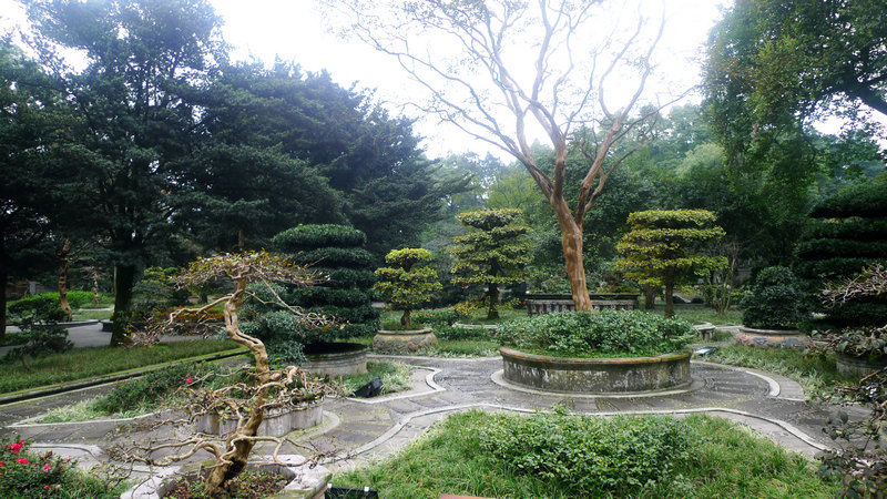 行行摄摄四川游
