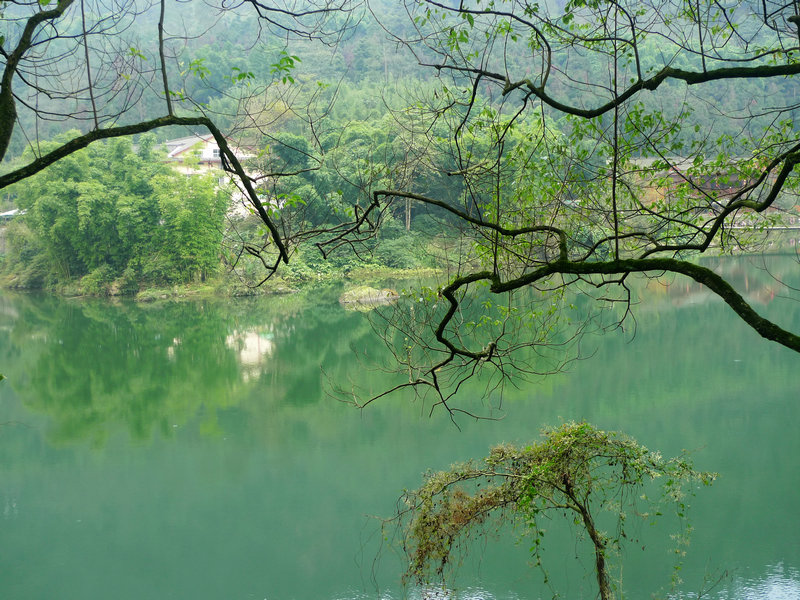行行摄摄四川游