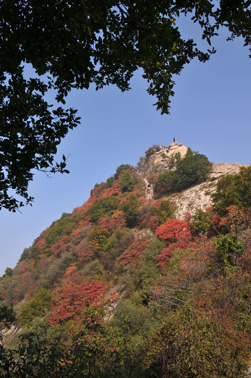 终南独秀翠华山