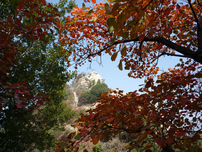 终南独秀翠华山