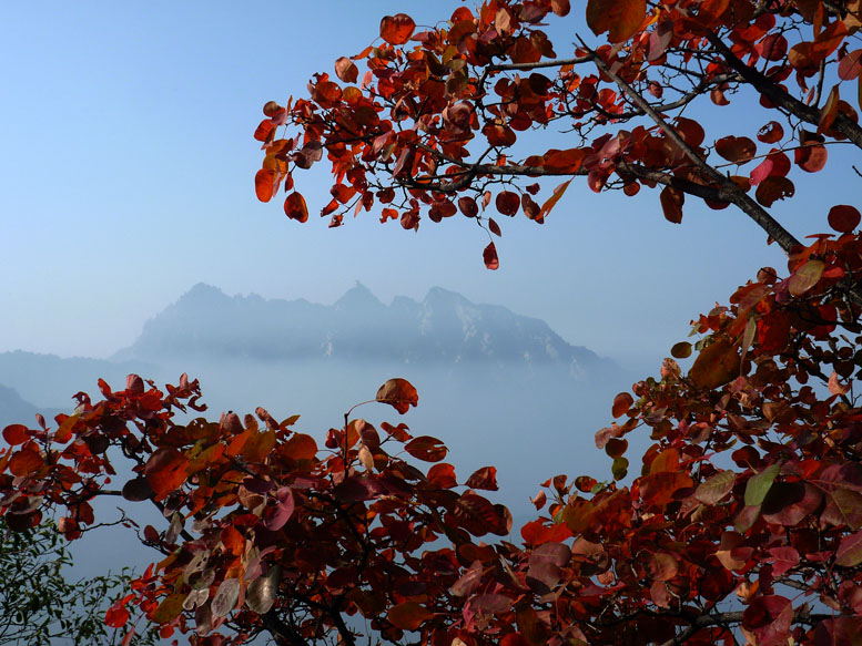 终南独秀翠华山
