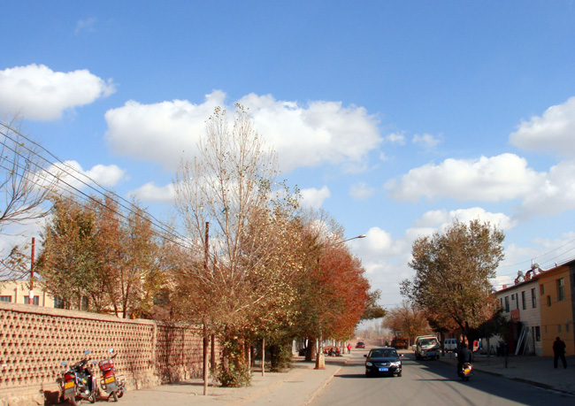 vIfi3C87.jpg