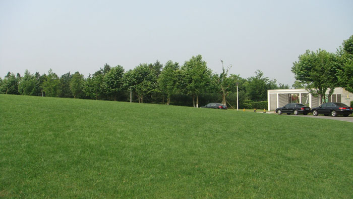 江苏张家港暨阳湖公园小景