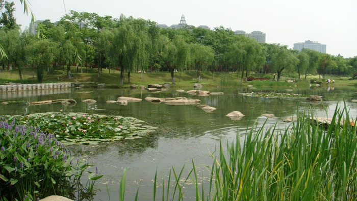江苏张家港暨阳湖公园小景