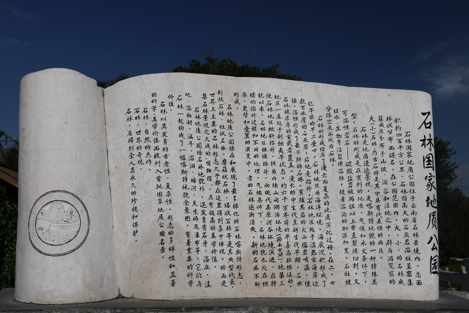 云南石林风光