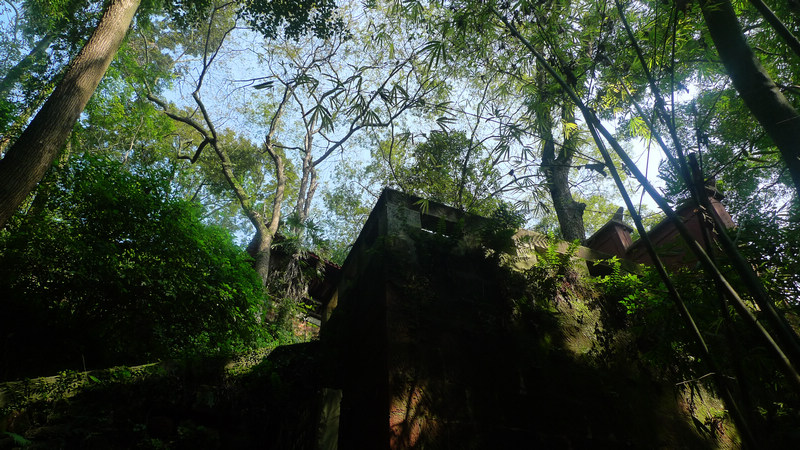 行行摄摄四川游之峨眉山