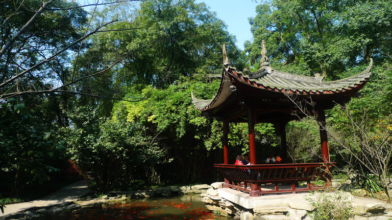 行行摄摄四川游之峨眉山