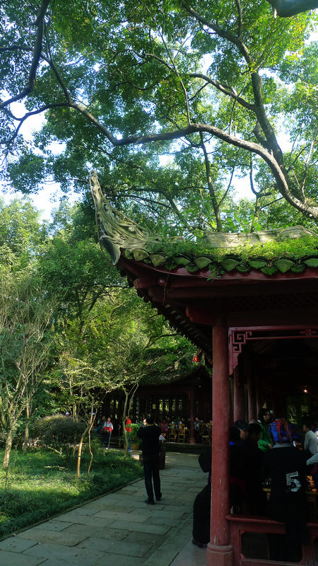行行摄摄四川游之峨眉山