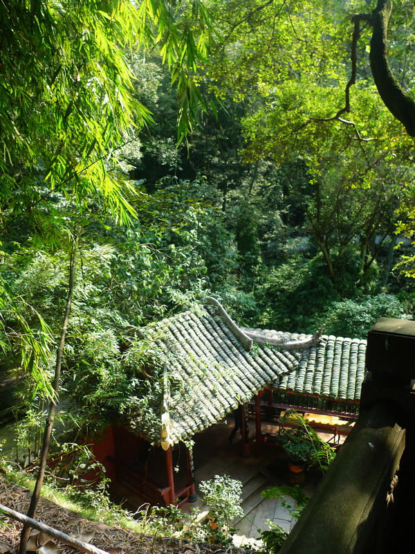 行行摄摄四川游之峨眉山
