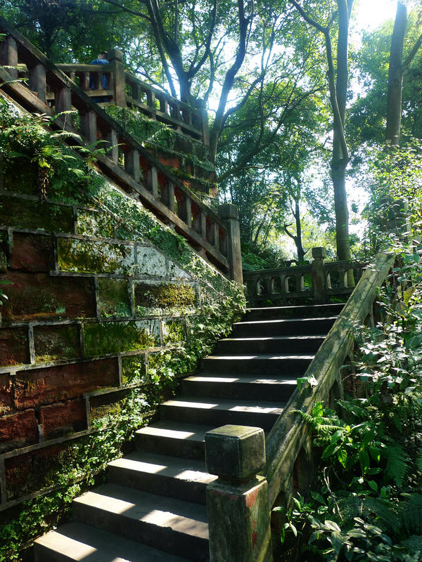 行行摄摄四川游之峨眉山