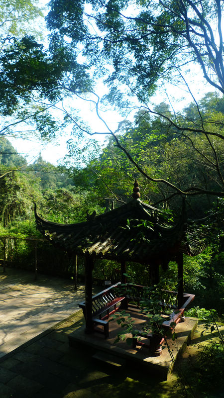 行行摄摄四川游之峨眉山